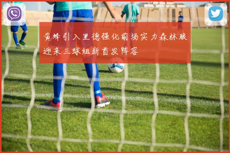 黄蜂引入里德强化前场实力森林狼迎来三球组新首发阵容